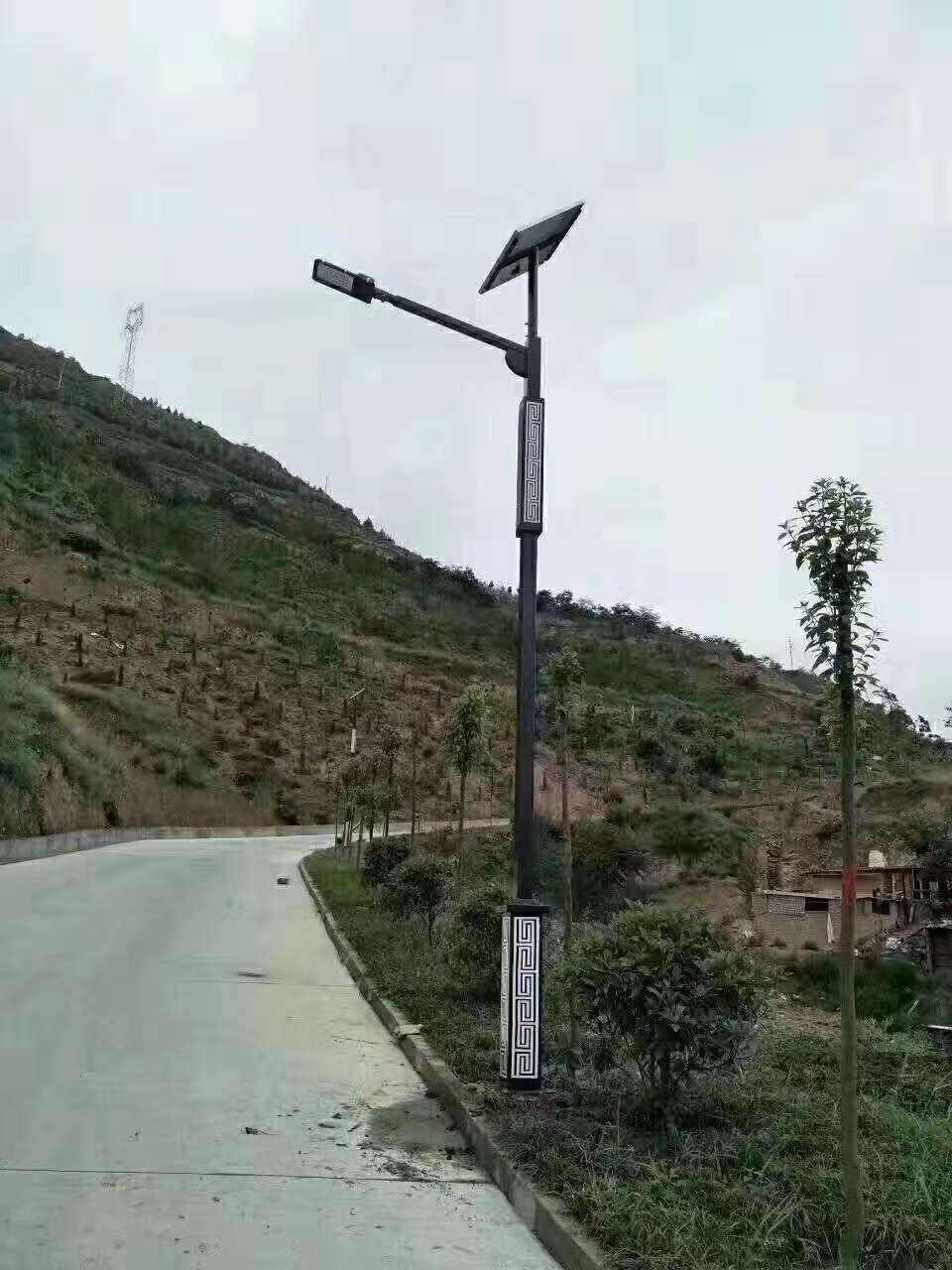 阜宁县仿古太阳能路灯